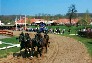 Lázár Lovaspark